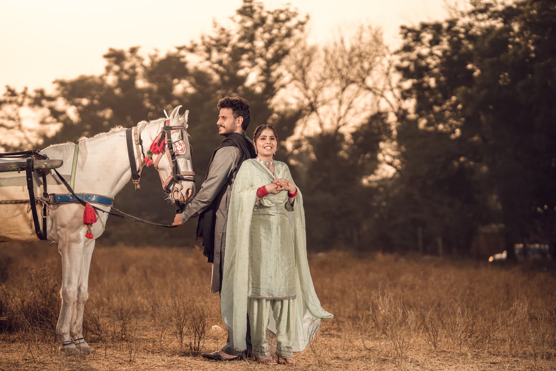 Royal Punjabi Celebrations